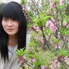 ellawang247